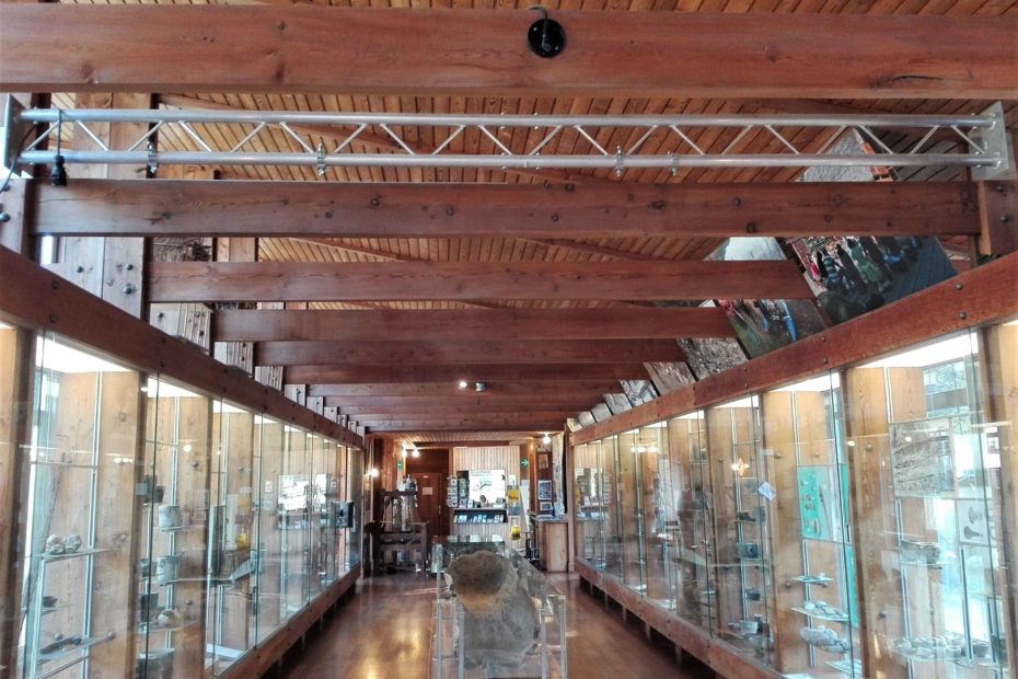 Riqualificazione ed ampliamento Museo delle Palafitte del Lago di Ledro di competenza del Muse